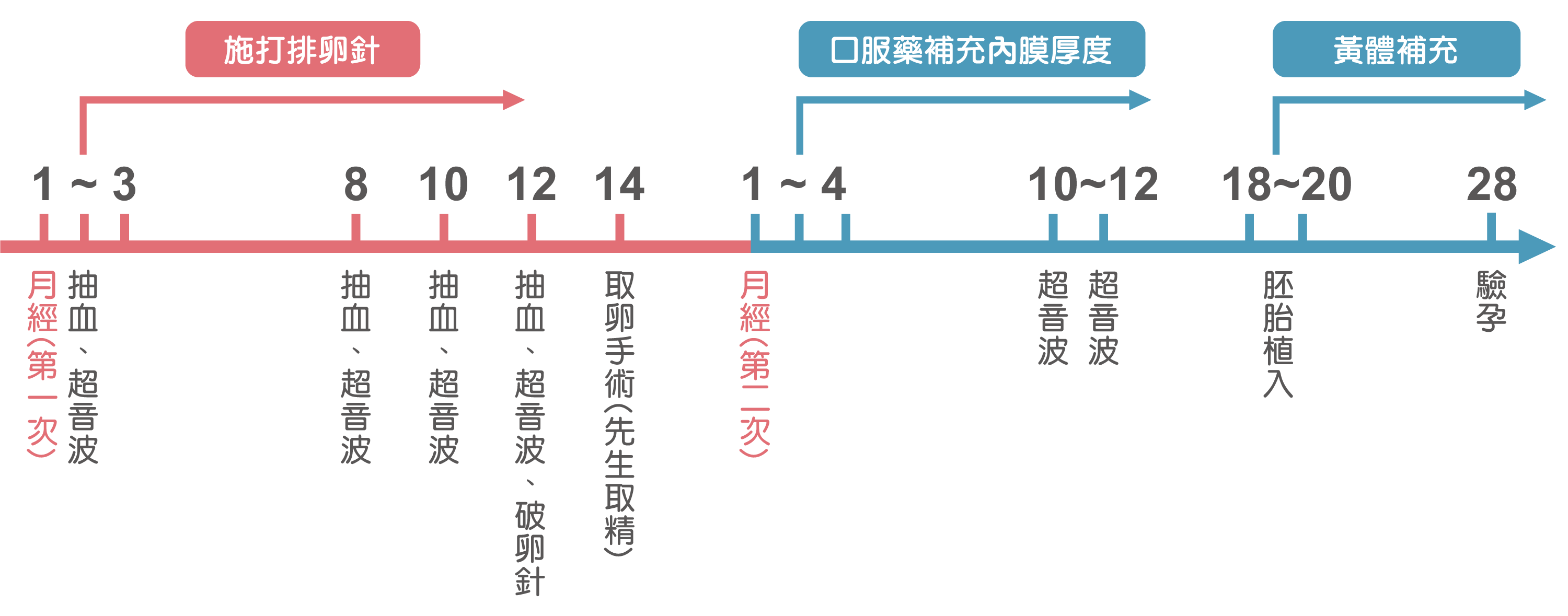 借卵-試管嬰兒流程-安安試管嬰兒中心,不孕症,試管嬰兒,人工受孕,冷凍卵子