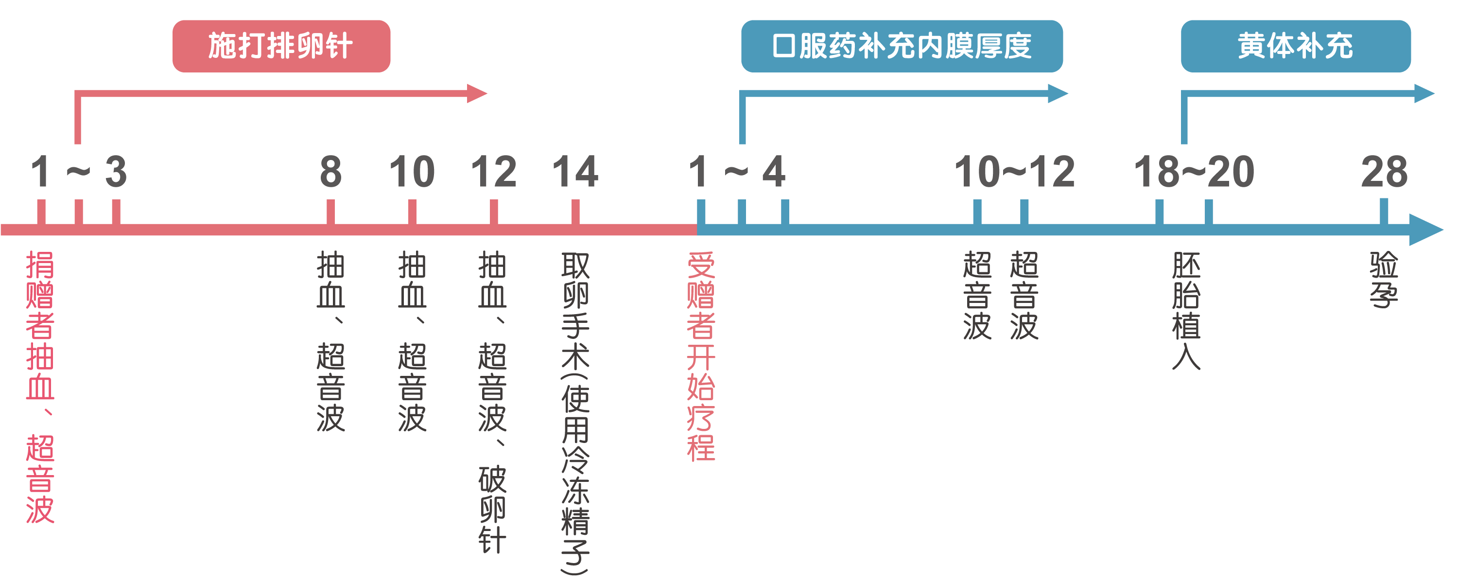 自卵-试管婴儿流程-安安高雄试管婴儿中心,不孕症,试管婴儿,人工受孕,冷冻卵子