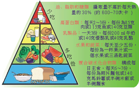 飲食金字塔